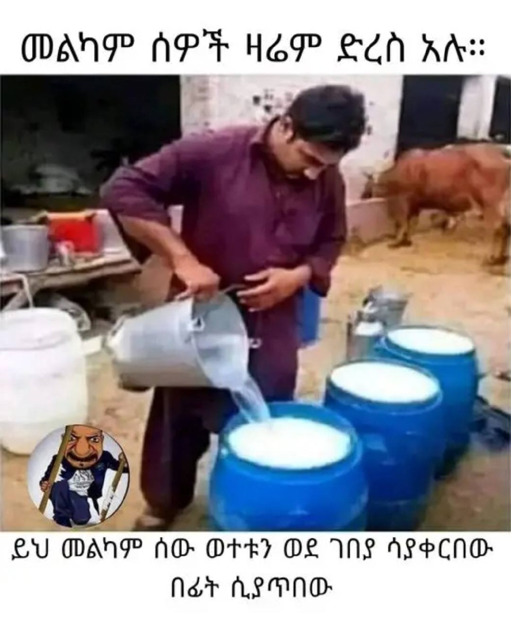 ይህ መልካም ሰው ወተቱን ወደ ገበያ ሳያቀርበው. በፊት ሲያጥበው BU WMANP NO Ore OF INS ASCO Nee ALaD